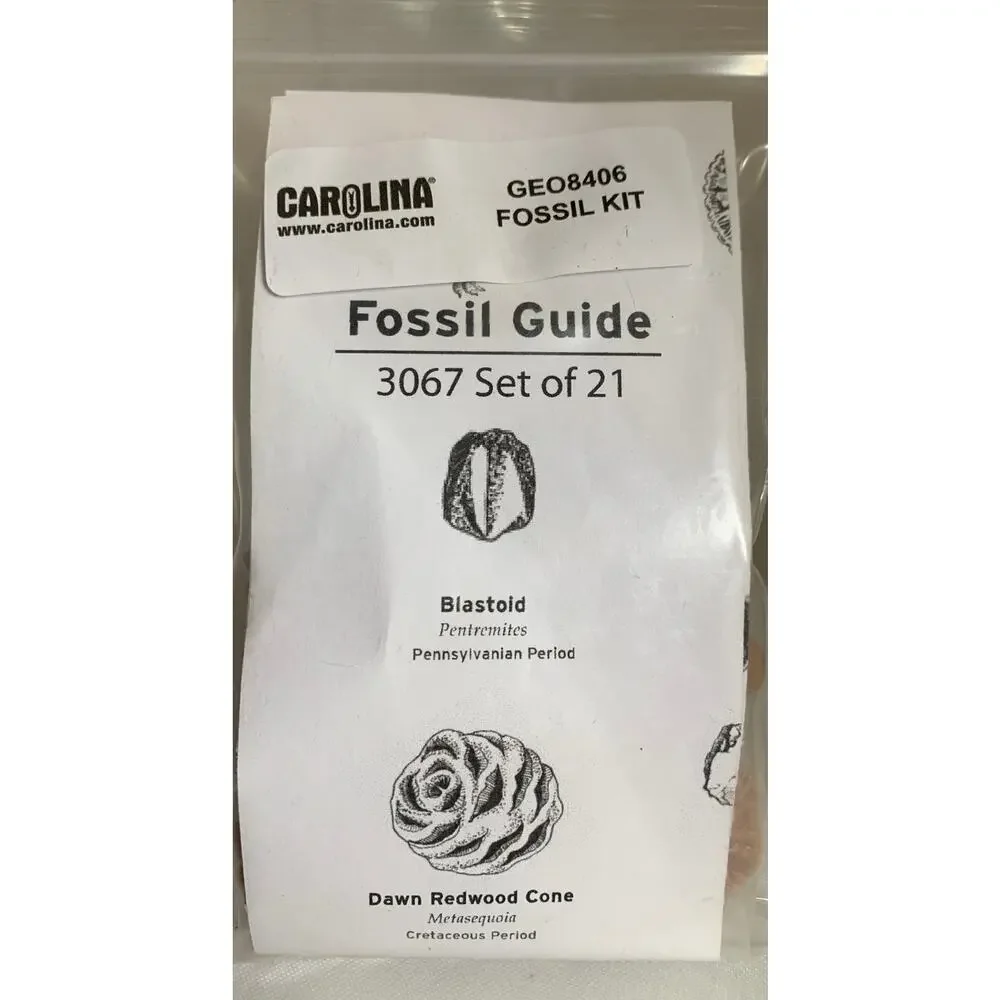Carolina Fossil Guide Kit 3.1oz GEO8406 3067 Set of 21